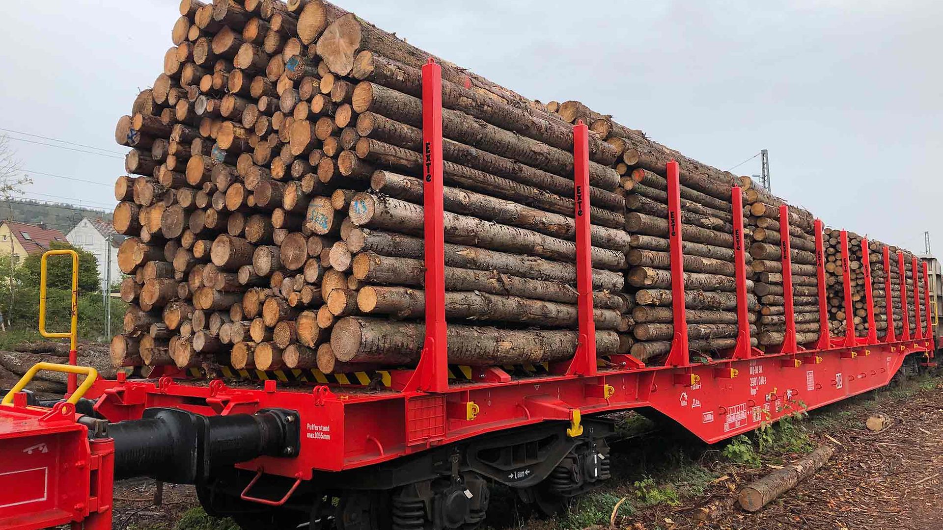 Ein Rungenwagen von DB Cargo steht gefüllt mit Rundholz auf dem Gleis.