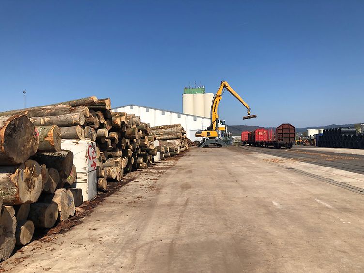Loading rough-cut timber onto a freight wagon