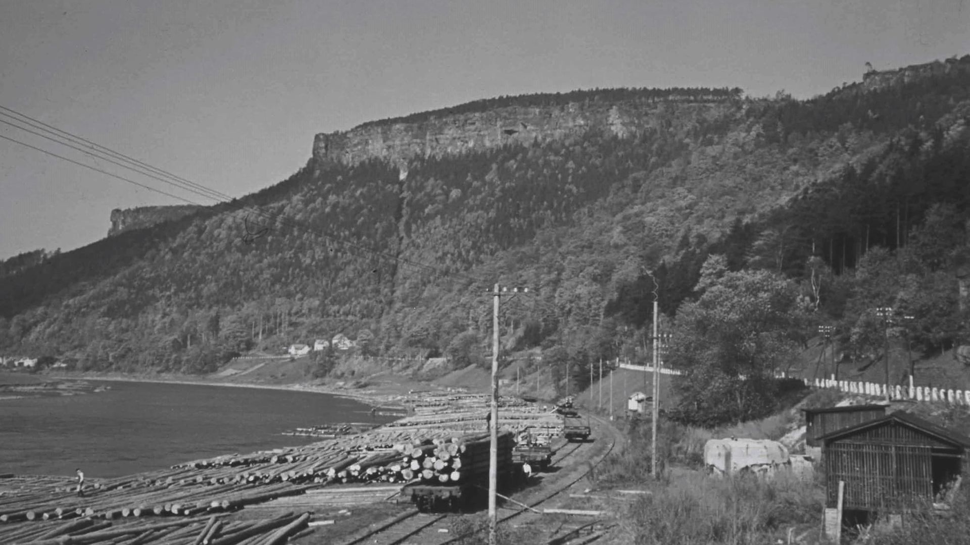 Rundholztransport im Jahr 1944 durch die Firma Nieten in Tetschen a. d. Elbe (Sudetenland)