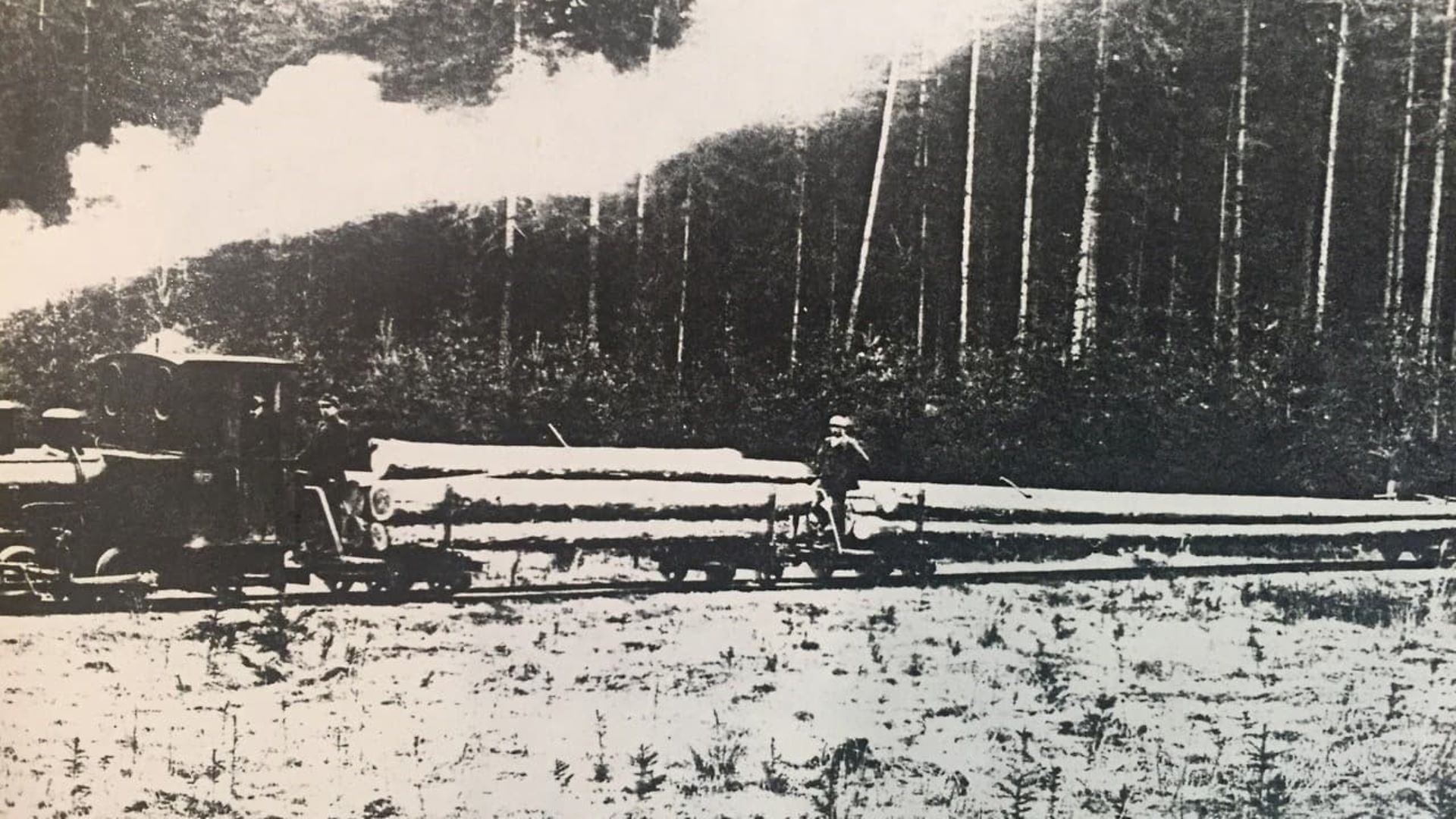 Log transport in the early years of the Nieten company