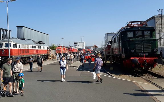 Auf dem Rangierbahnhof Seddin stehen mehrere Güterloks, Besucher laufen zwischen diesen.