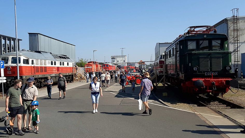 Auf dem Rangierbahnhof Seddin stehen mehrere Güterloks, Besucher laufen zwischen diesen.